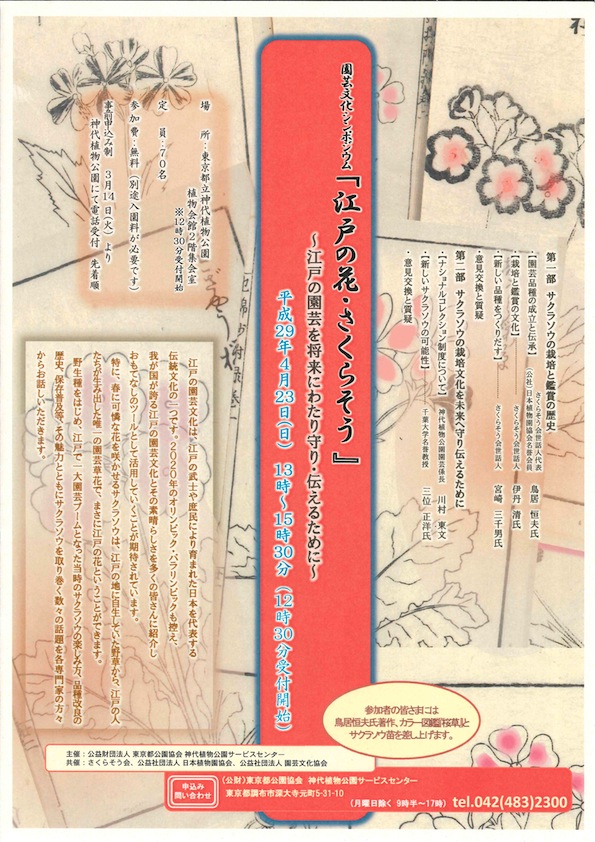 園芸文化シンポジウム ポスター／チラシ　『江戸の花・さくらそう』