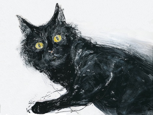黒猫 (装画コンペ 出品作品）